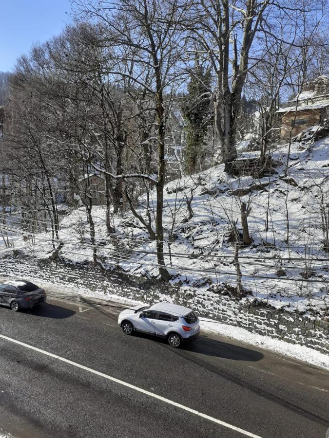 Casa Ryana Sinaia Otel Dış mekan fotoğraf